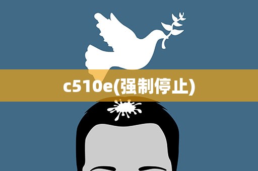 c510e(强制停止)