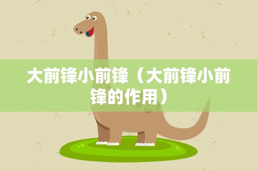 大前锋小前锋（大前锋小前锋的作用）