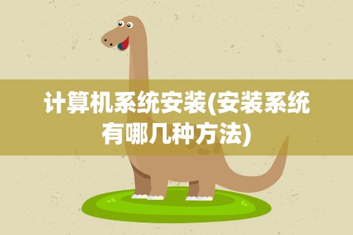 计算机系统安装(安装系统有哪几种方法)