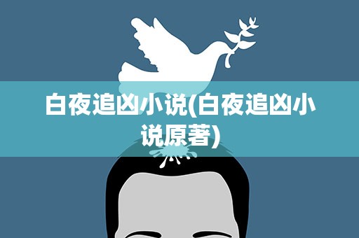 白夜追凶小说(白夜追凶小说原著)