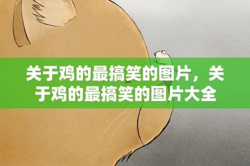 关于鸡的最搞笑的图片，关于鸡的最搞笑的图片大全