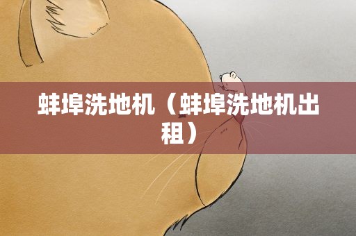 蚌埠洗地机（蚌埠洗地机出租）