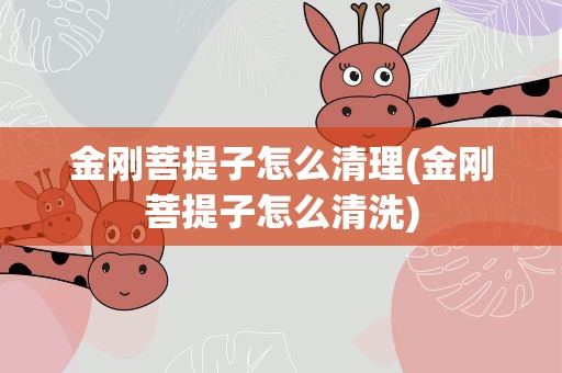 金刚菩提子怎么清理(金刚菩提子怎么清洗)