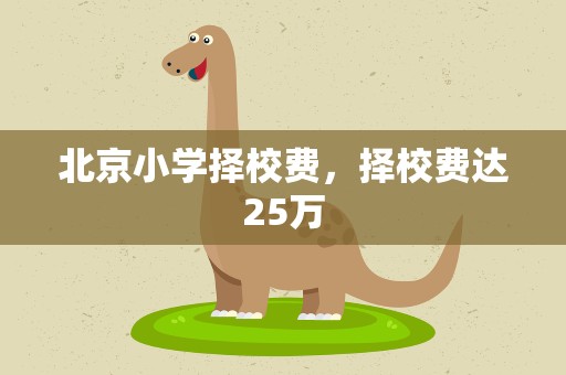 北京小学择校费，择校费达25万
