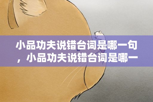 小品功夫说错台词是哪一句，小品功夫说错台词是哪一句话