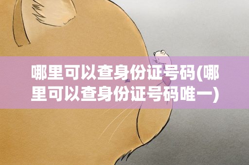 哪里可以查身份证号码(哪里可以查身份证号码唯一)