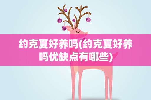 约克夏好养吗(约克夏好养吗优缺点有哪些)