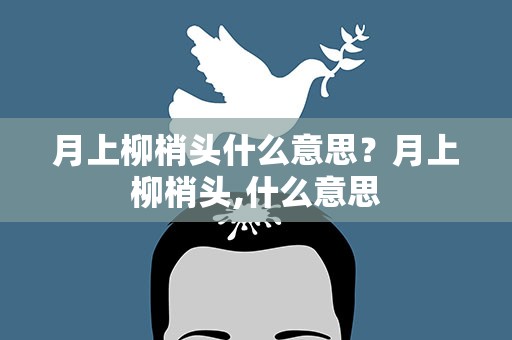 月上柳梢头什么意思？月上柳梢头,什么意思