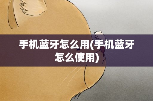 手机蓝牙怎么用(手机蓝牙怎么使用)