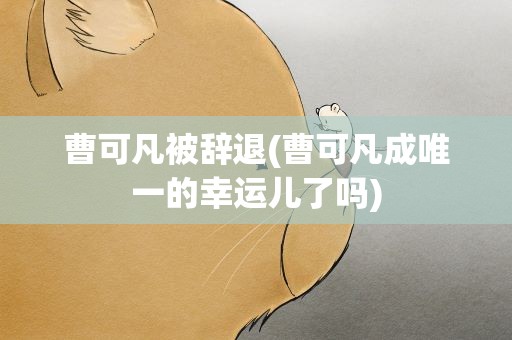 曹可凡被辞退(曹可凡成唯一的幸运儿了吗)