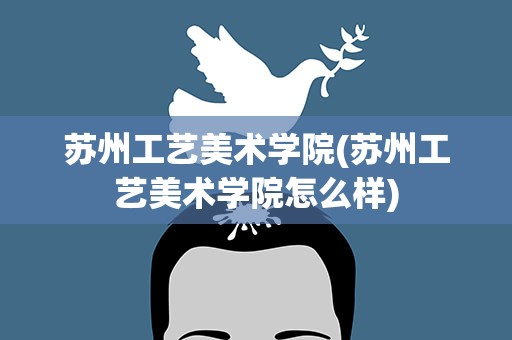苏州工艺美术学院(苏州工艺美术学院怎么样)