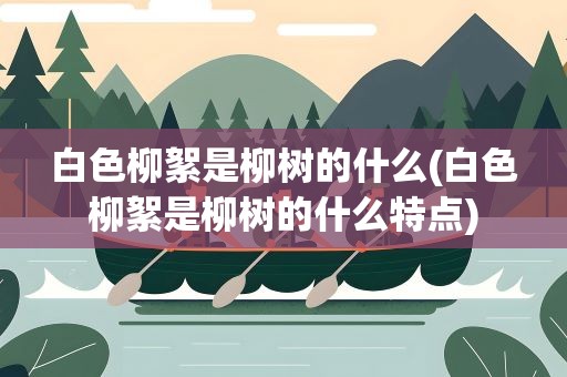 白色柳絮是柳树的什么(白色柳絮是柳树的什么特点)