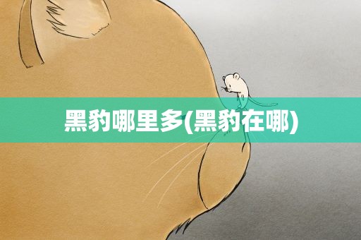 黑豹哪里多(黑豹在哪)
