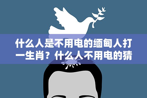 什么人是不用电的缅甸人打一生肖？什么人不用电的猜一生肖