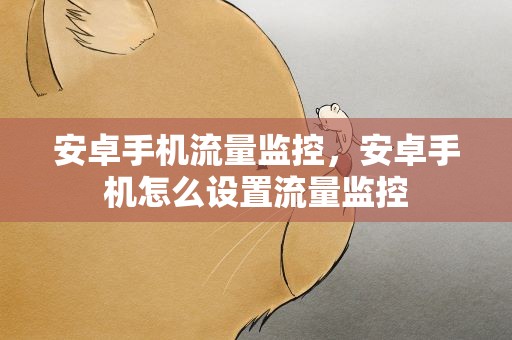 安卓手机流量监控，安卓手机怎么设置流量监控