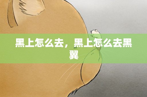 黑上怎么去，黑上怎么去黑翼