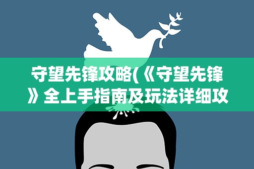 守望先锋攻略(《守望先锋》全上手指南及玩法详细攻略)