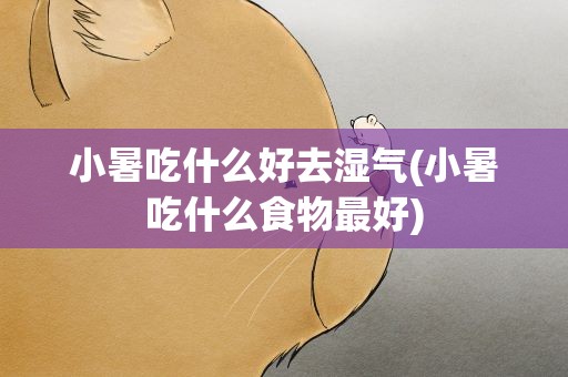 小暑吃什么好去湿气(小暑吃什么食物最好)