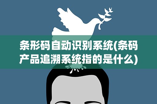 条形码自动识别系统(条码产品追溯系统指的是什么)