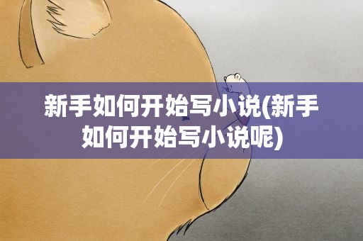 新手如何开始写小说(新手如何开始写小说呢)
