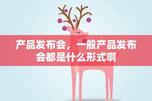 产品发布会，一般产品发布会都是什么形式啊