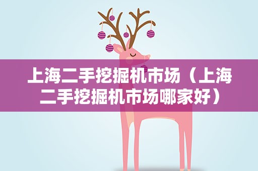 上海二手挖掘机市场（上海二手挖掘机市场哪家好）