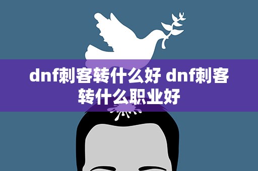 dnf刺客转什么好 dnf刺客转什么职业好