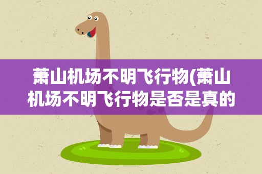 萧山机场不明飞行物(萧山机场不明飞行物是否是真的)