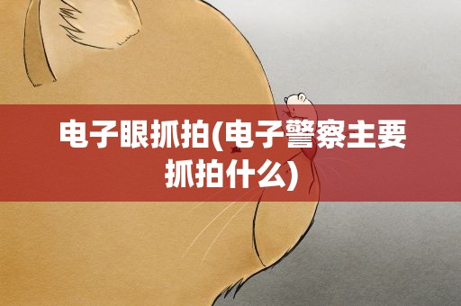 电子眼抓拍(电子警察主要抓拍什么)