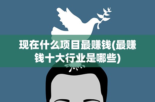 现在什么项目最赚钱(最赚钱十大行业是哪些)