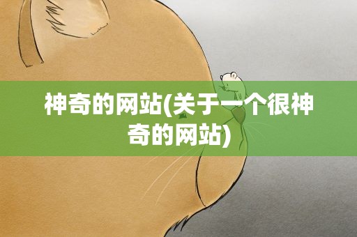 神奇的网站(关于一个很神奇的网站)