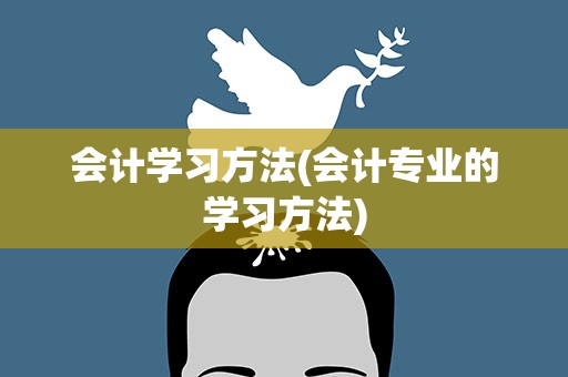 会计学习方法(会计专业的学习方法)