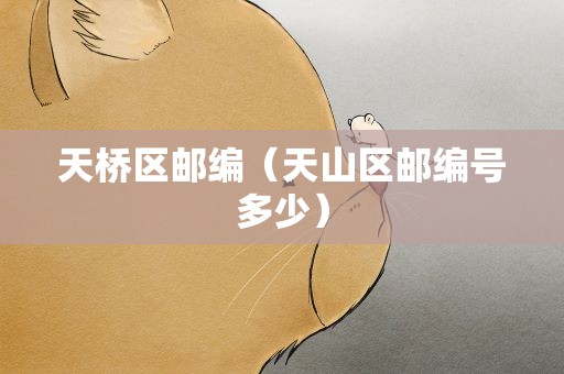 天桥区邮编（天山区邮编号多少）