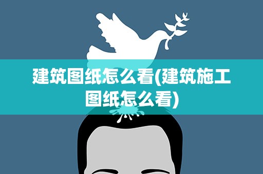 建筑图纸怎么看(建筑施工图纸怎么看)