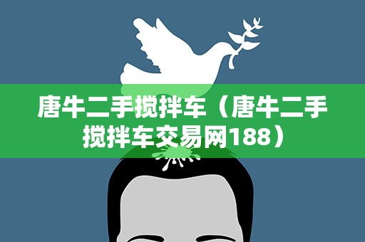 唐牛二手搅拌车（唐牛二手搅拌车交易网188）