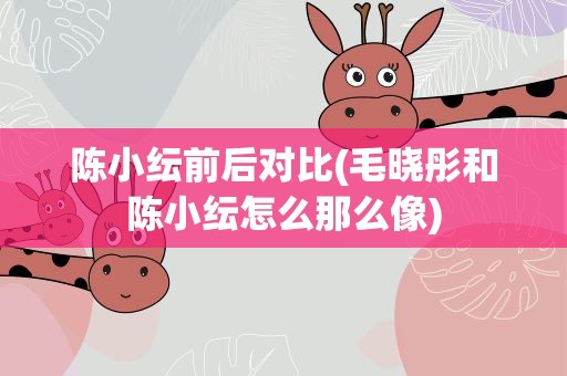 陈小纭前后对比(毛晓彤和陈小纭怎么那么像)