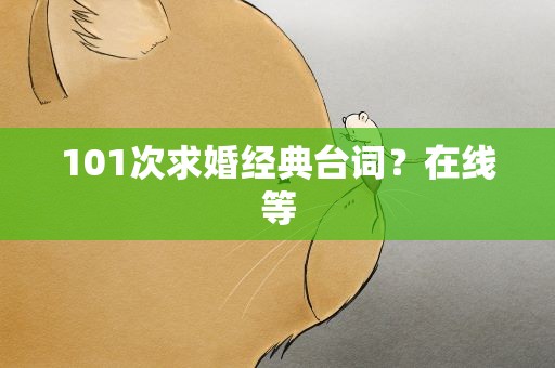 101次求婚经典台词？在线等