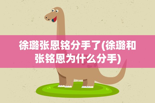 徐璐张恩铭分手了(徐璐和张铭恩为什么分手)