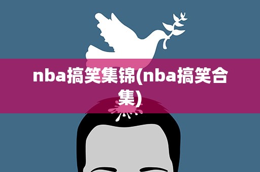 nba搞笑集锦(nba搞笑合集)