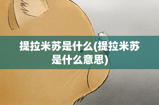 提拉米苏是什么(提拉米苏是什么意思)
