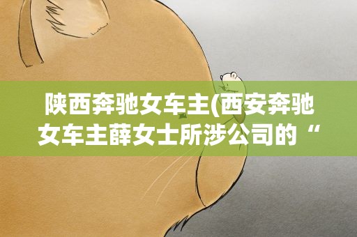 陕西奔驰女车主(西安奔驰女车主薛女士所涉公司的“合同纠纷”究竟是什么乌龙)