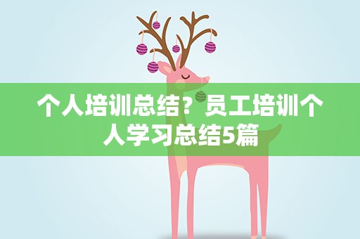 个人培训总结？员工培训个人学习总结5篇
