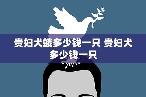 贵妇犬蛾多少钱一只 贵妇犬多少钱一只