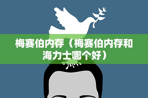 梅赛伯内存（梅赛伯内存和海力士哪个好）