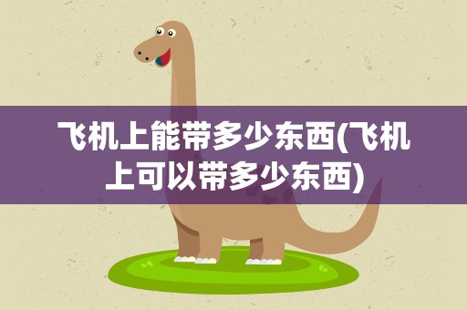 飞机上能带多少东西(飞机上可以带多少东西)