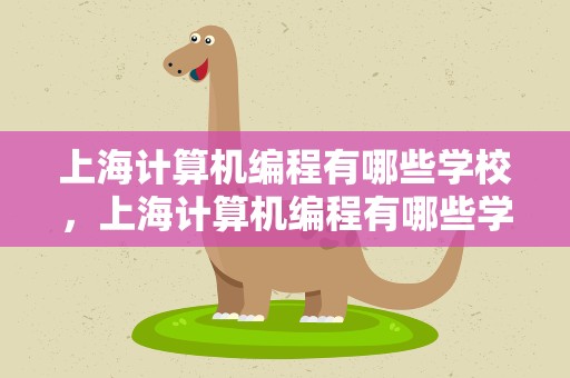 上海计算机编程有哪些学校，上海计算机编程有哪些学校好