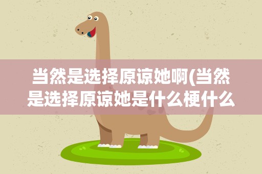 当然是选择原谅她啊(当然是选择原谅她是什么梗什么意思)