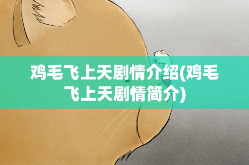 鸡毛飞上天剧情介绍(鸡毛飞上天剧情简介)