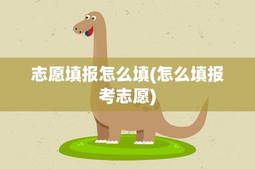 志愿填报怎么填(怎么填报考志愿)