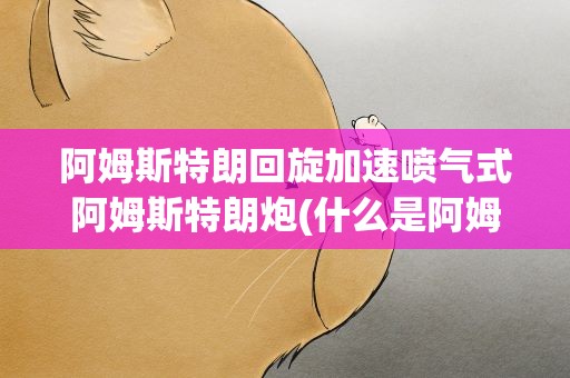 阿姆斯特朗回旋加速喷气式阿姆斯特朗炮(什么是阿姆斯特朗回旋加速喷气式阿姆斯特朗炮【银魂】)